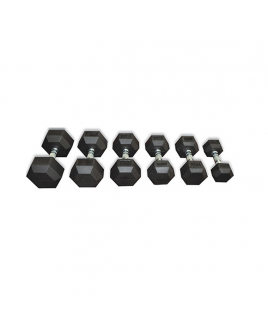 W3141 ALTIGEN DUMBBELL - 2,5/20 KG